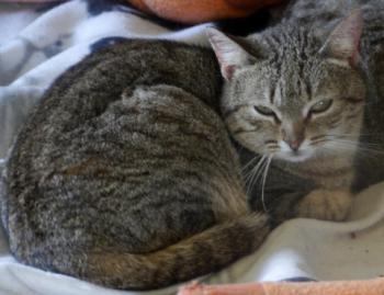 Bild von Inga