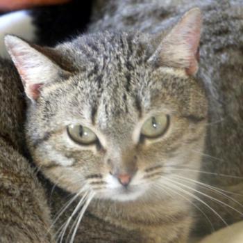 Bild von Inga
