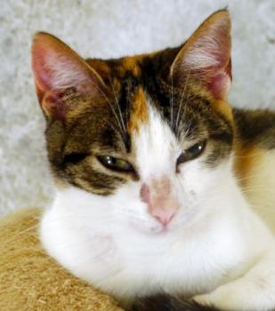 Babette Bild von Babette