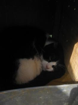 Bild von Abu