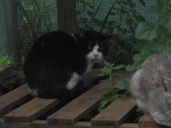 Bild von Abu