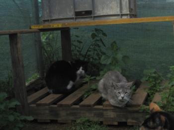 Bild von Abu