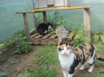 Bild von Abu