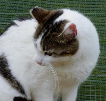 Penny Bild von Penny