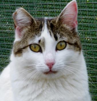 Penny Bild von Penny