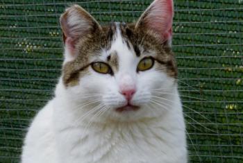 Penny Bild von Penny
