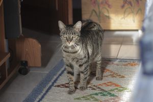 Pompeyito Bild von Pompeyito