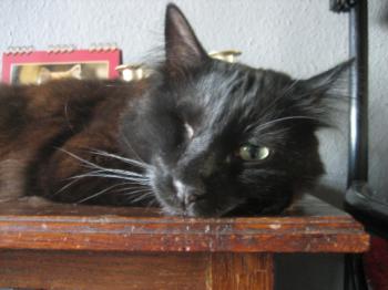 Bild von Charly