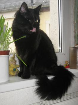 Bild von Charly
