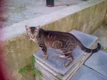 Trass Bild von Trass
