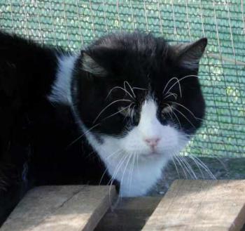 Bild von Abu