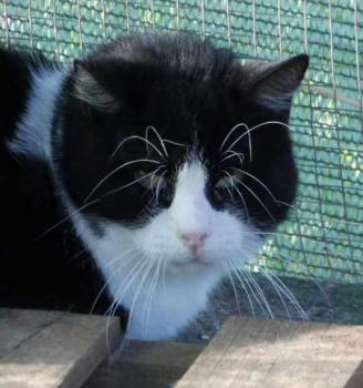 Bild von Abu