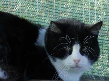 Bild von Abu