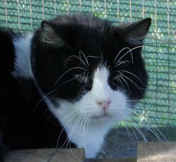 Bild von Abu