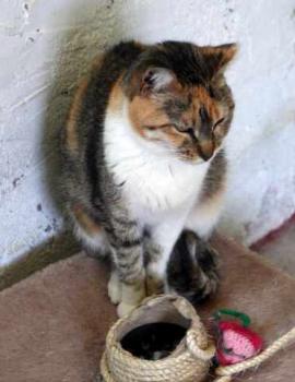 Susan Bild von Susan