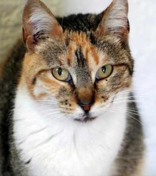 Susan Bild von Susan