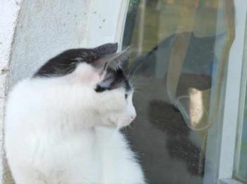 Bild von Joy