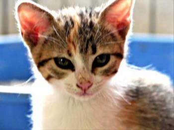 Lucita Bild von Lucita