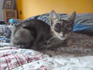 Dora Bild von Dora