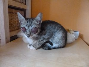 Dora Bild von Dora