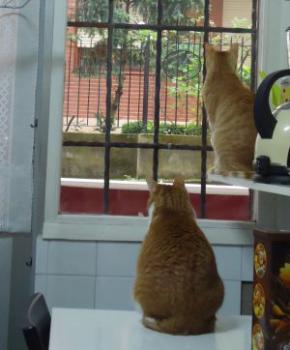 Judith Bild von Judith