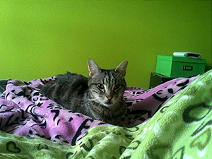 Barry Bild von Barry