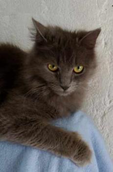 Yasmin Bild von Yasmin