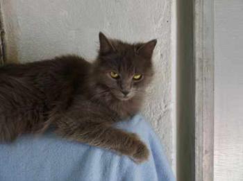 Yasmin Bild von Yasmin