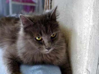 Yasmin Bild von Yasmin