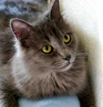 Yasmin Bild von Yasmin