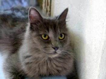 Yasmin Bild von Yasmin