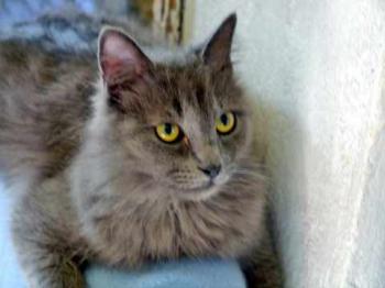 Yasmin Bild von Yasmin