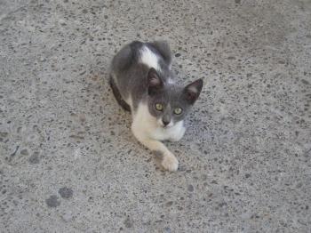 Bild von Katty