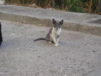 Bild von Katty