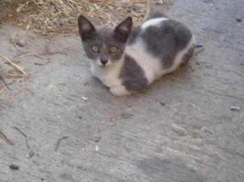 Bild von Katty