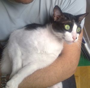 Bild von Bruce