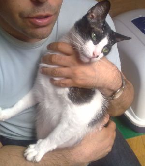 Bild von Bruce