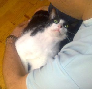 Bild von Bruce