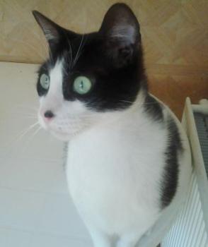 Bild von Bruce