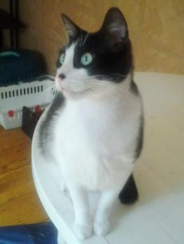 Bild von Bruce