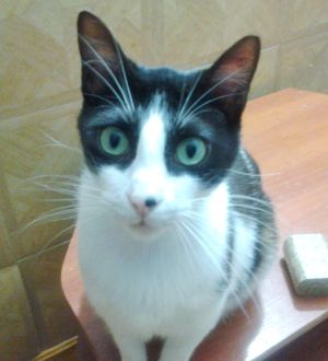 Bild von Bruce