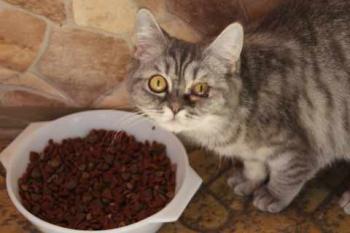 Miss Marple Bild von Miss Marple