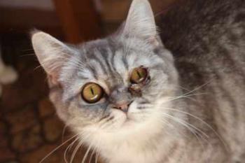 Miss Marple Bild von Miss Marple