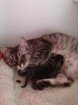 Miss Marple Bild von Miss Marple