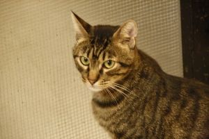 George Bild von George