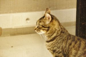 George Bild von George