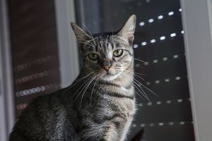 Pompeyito Bild von Pompeyito