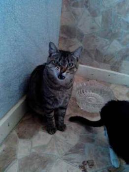 Gipsy-Mimi Bild von Gipsy-Mimi