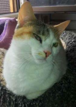 Lilith Bild von Lilith