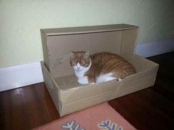 Judith Bild von Judith